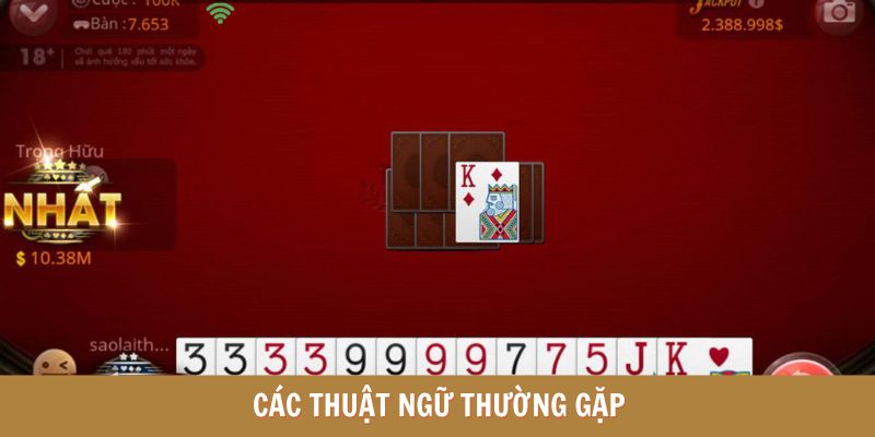 Các thuật ngữ cần ghi nhớ